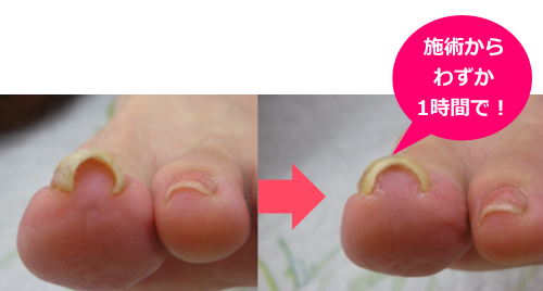 �{�p����